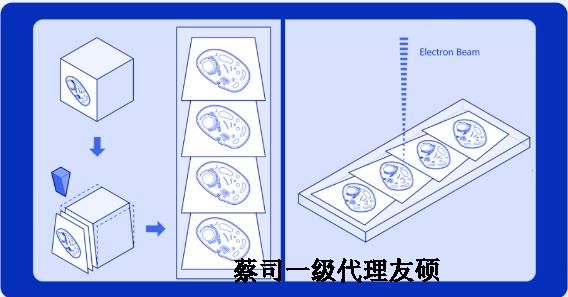 湘潭蔡司湘潭扫描电镜