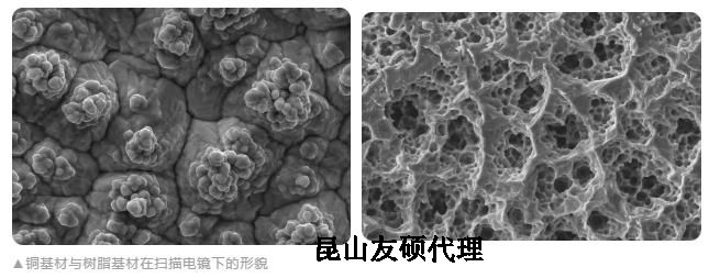 湘潭蔡司湘潭扫描电镜